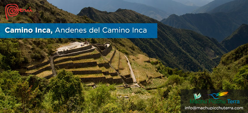 Los Andenes Del Camino Inca
