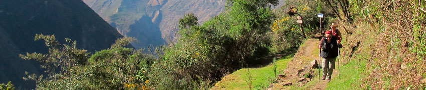 Caminata Choquequirao Machu Picchu Maizal