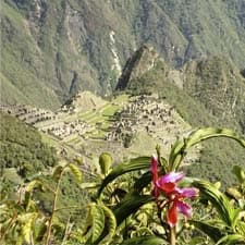Camino Inca, turismo y conservación