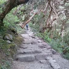 Camino Inca Machu Picchu Corto