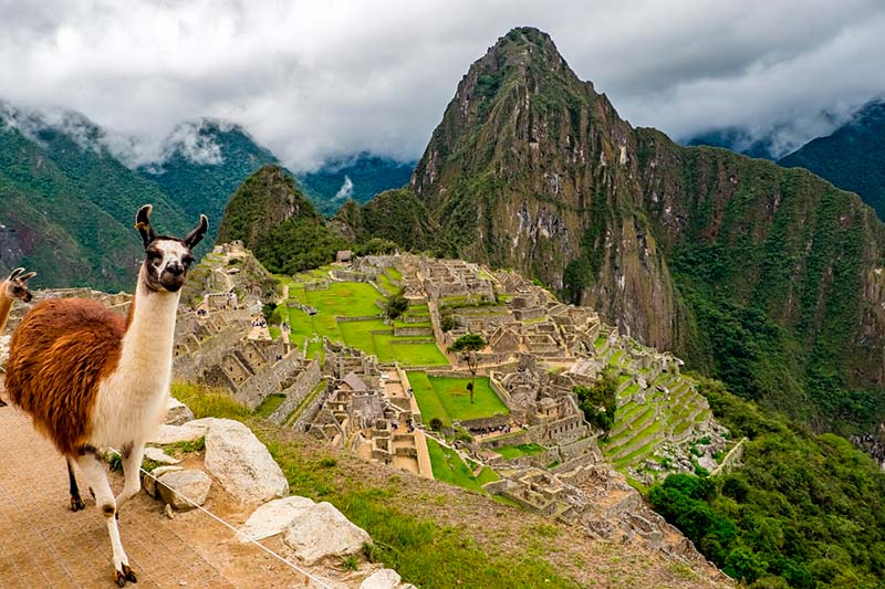 camino inca Machu Picchu