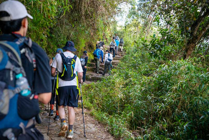Turistas recorriendo el Camino Inca a Machu Picchu